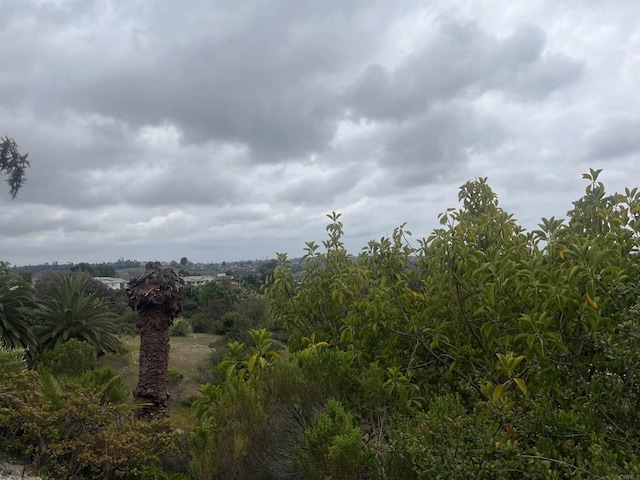 3113 Buena Hills Dr, Oceanside, CA 92056 - view of nature