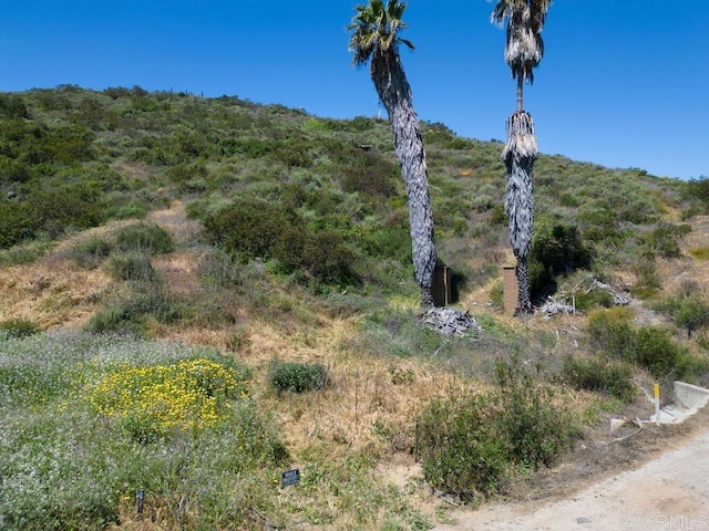 0 Camino Del Rey, Bonsall, CA 92003 - photo 4