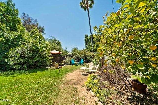 view of yard