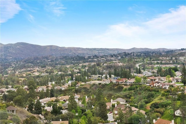 740 S Crown Pointe Dr, Anaheim Hills, CA 92807 - photo 48