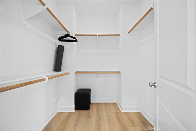 54 Painted Cameo, Irvine, CA 92602 - spacious closet featuring light wood-type flooring