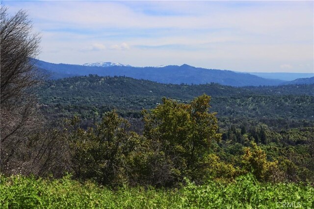 4632 Triangle Rd, Mariposa, CA 95338 - photo 14