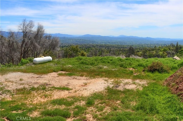 4632 Triangle Rd, Mariposa, CA 95338 - photo 2