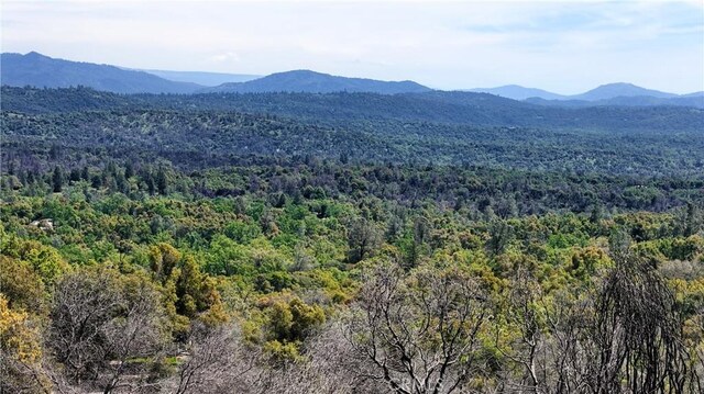 4632 Triangle Rd, Mariposa, CA 95338 - photo 3
