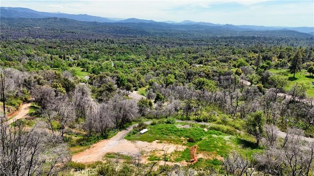 4632 Triangle Rd, Mariposa, CA 95338 - photo 15