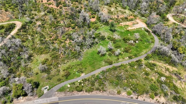 4632 Triangle Rd, Mariposa, CA 95338 - photo 1