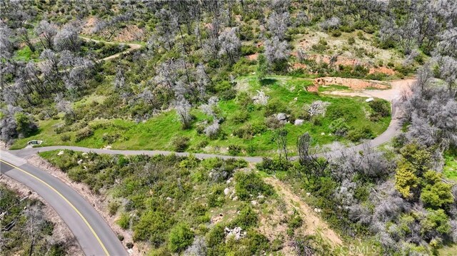 4632 Triangle Rd, Mariposa, CA 95338 - photo 13