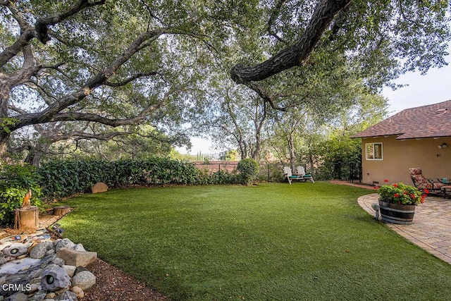 view of yard with a patio area