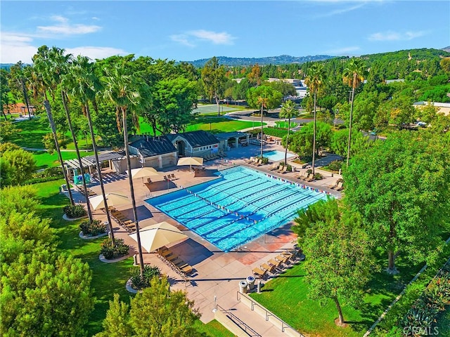 6 Heatherwood, Irvine, CA 92620 - community pool with a patio