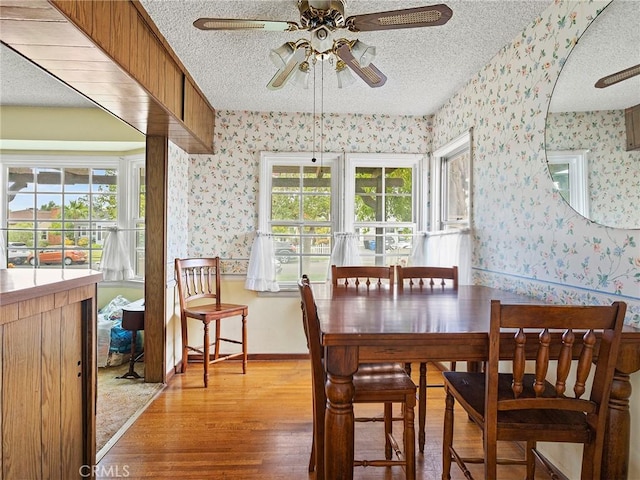 1234 N Ontario St, Burbank, CA 91505 - dining room with a textured ceiling, wallpapered walls, a ceiling fan, light wood finished floors, and healthy amount of natural light