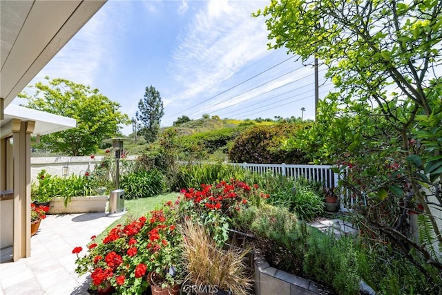 6060 E Summit Ct, Anaheim Hills, CA 92807 - view of yard with fence