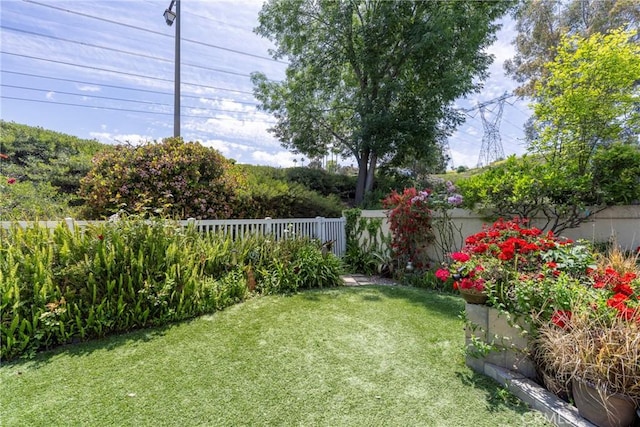 6060 E Summit Ct, Anaheim Hills, CA 92807 - view of yard
