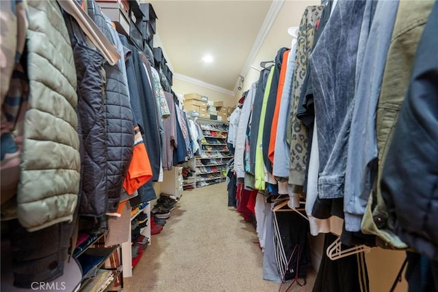12336 Circula Panorama, North Tustin, CA 92705 - walk in closet with carpet flooring