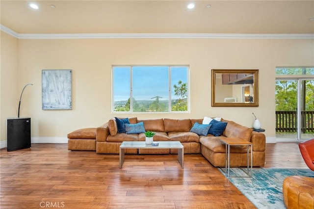 12336 Circula Panorama, North Tustin, CA 92705 - living room featuring crown molding, wood finished floors, and recessed lighting