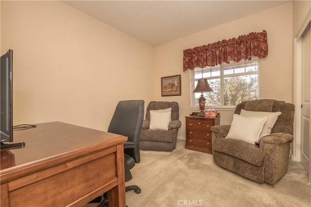 337 Pine Ln, Big Bear City, CA 92314 - photo 45