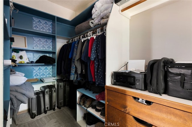 14315 Troy Way, Magalia, CA 95954 - spacious closet with carpet