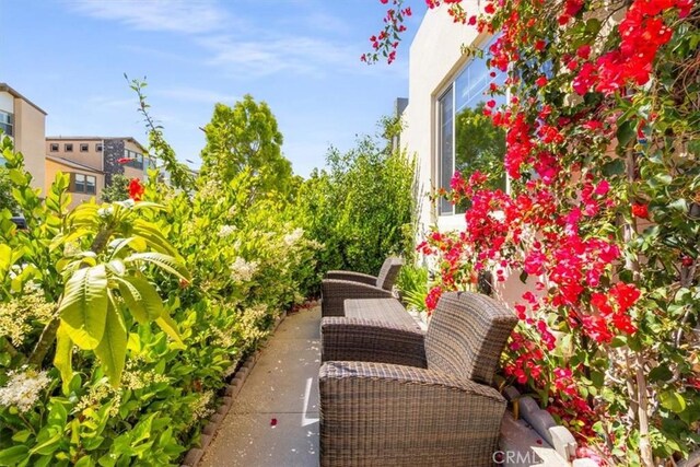177 Frame, Irvine, CA 92618 - photo 4