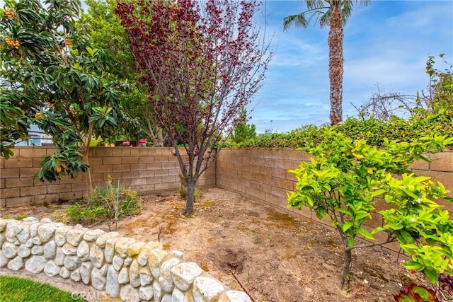 12029 Bubbling Brook St, Moorpark, CA 93021 - view of fenced backyard
