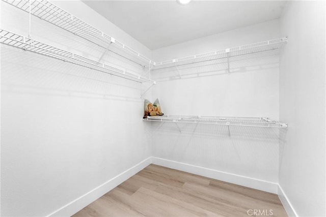 12029 Bubbling Brook St, Moorpark, CA 93021 - spacious closet with light wood-style floors