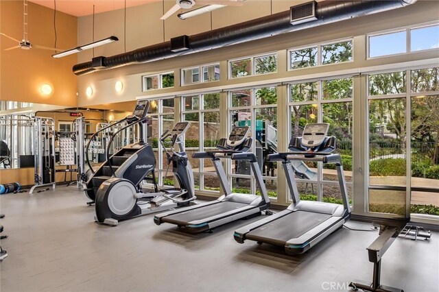 workout area with a towering ceiling