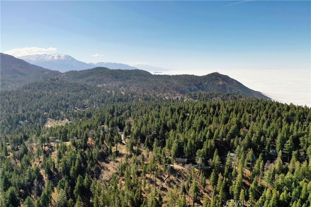 view of mountain backdrop with a forest