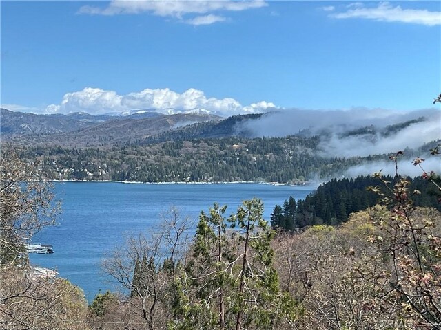 water view with a mountainous background and a forest