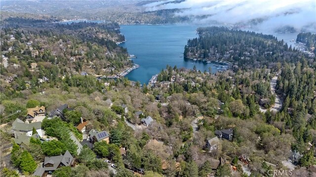 bird's eye view of a heavily wooded area and a nearby body of water