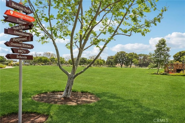 view of grassy yard