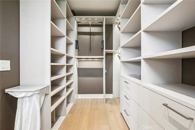 walk in closet with light wood-style floors