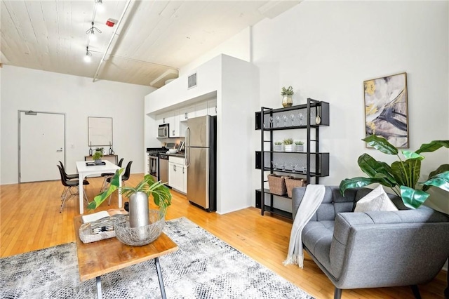 living room with light wood-style floors and rail lighting