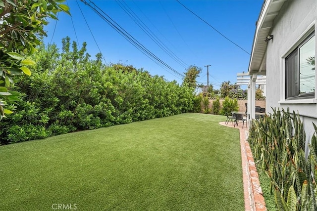 view of yard featuring a patio
