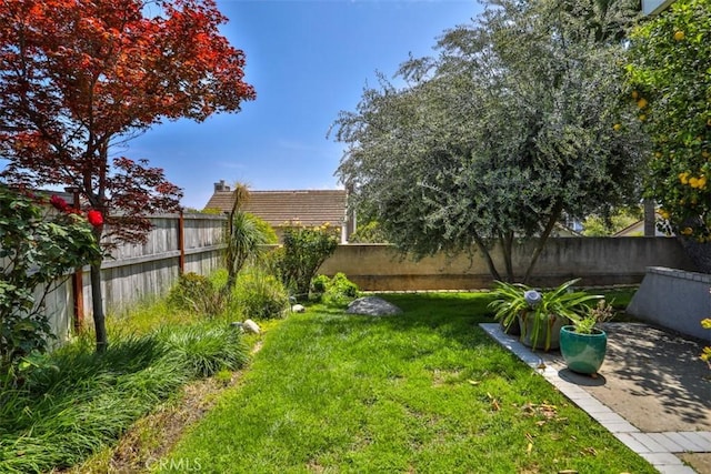 1398 Carissa St, Upland, CA 91784 - view of yard with a patio