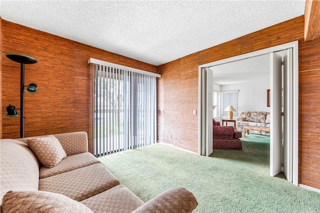 16512 Blackbeard Ln Unit 102, Huntington Beach, CA 92649 - living room featuring wooden walls, carpet flooring, and a textured ceiling
