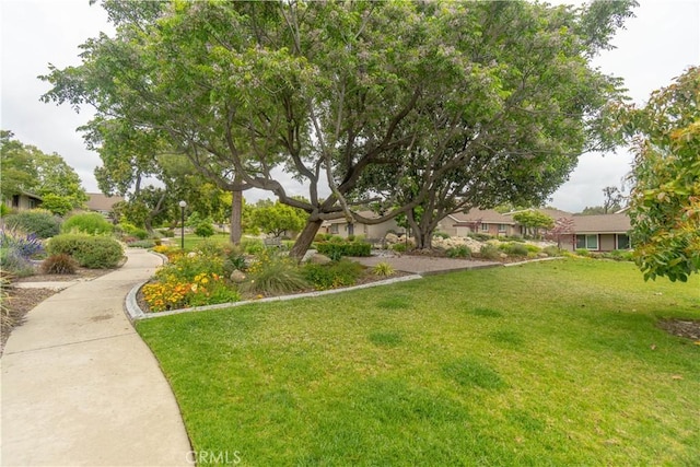 surrounding community with a lawn