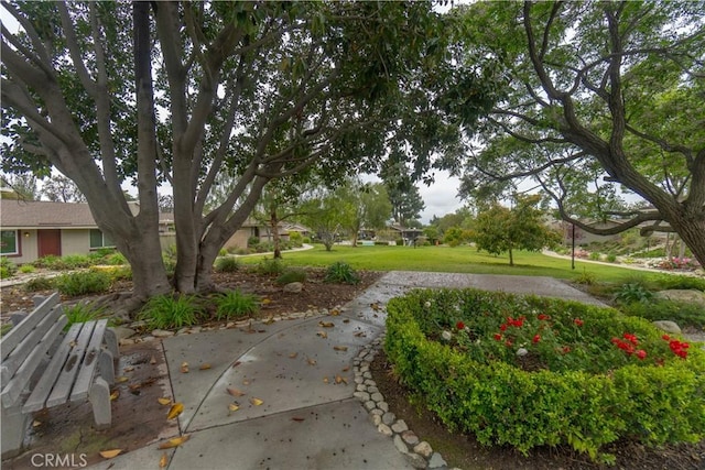 view of community with a yard