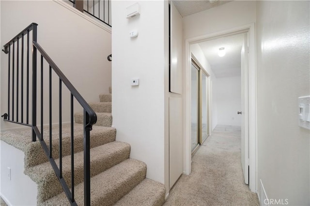 stairs featuring carpet floors