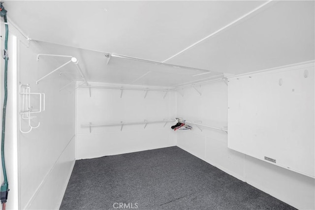 4662 Howard Ave, Los Alamitos, CA 90720 - walk in closet with carpet flooring
