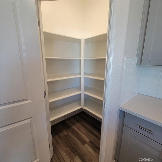29145 Dune Primrose, Lake Elsinore, CA 92530 - view of pantry