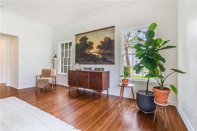 sitting room with wood finished floors, crown molding, and baseboards
