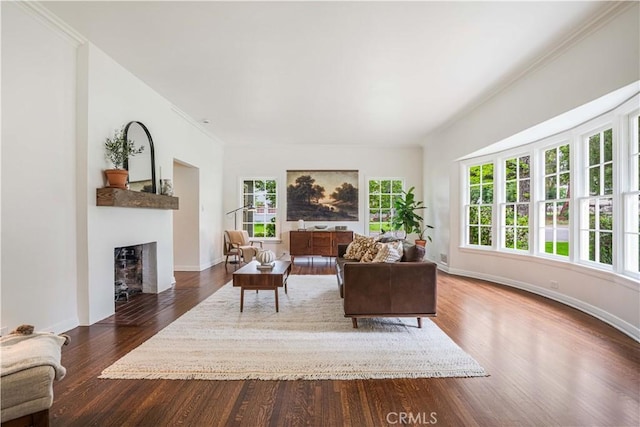 living room with a fireplace, dark wood-type flooring, crown molding, and baseboards