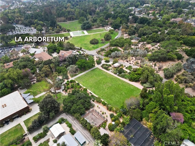 bird's eye view