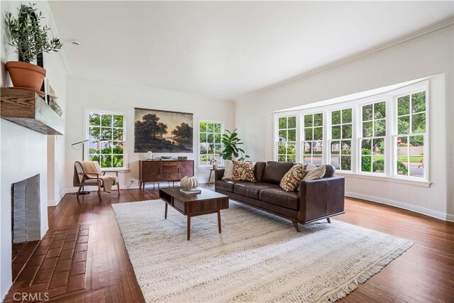 living area featuring a fireplace, ornamental molding, baseboards, and wood finished floors