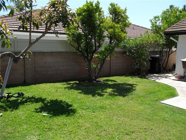 view of yard