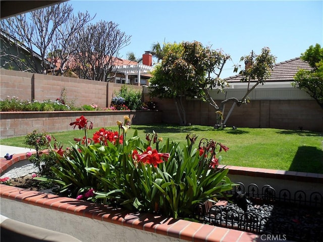 view of yard