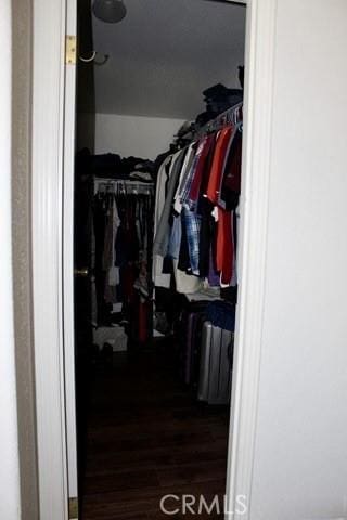 36072 Meadow Grove Rd, Yermo, CA 92398 - walk in closet with dark wood-style flooring and radiator heating unit