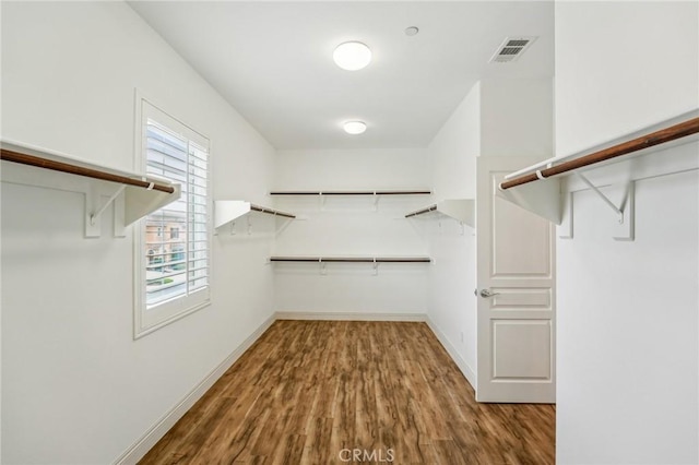 spacious closet featuring wood finished floors