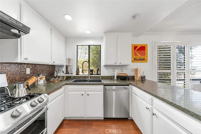 kitchen with appliances with stainless steel finishes, a sink, under cabinet range hood, dark wood finished floors, and recessed lighting