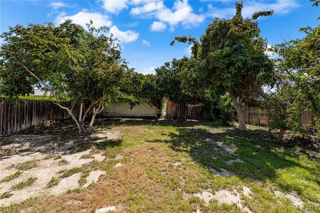view of yard