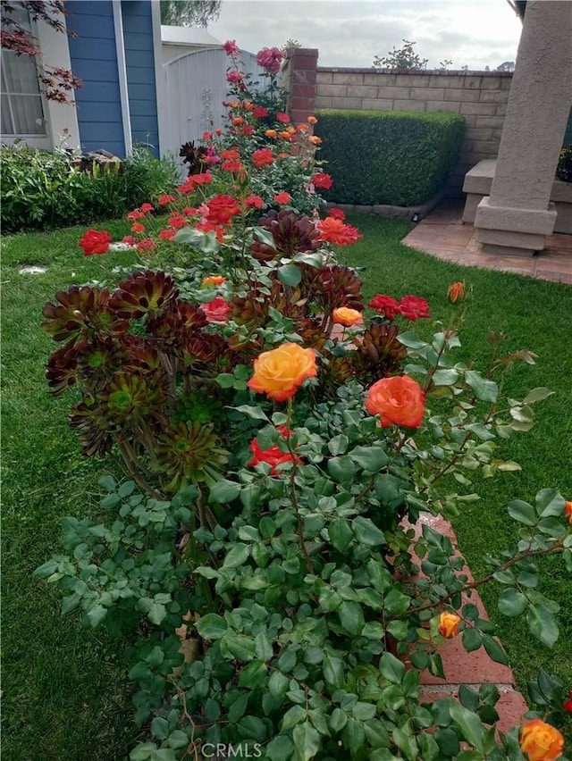 22000 Jodi Pl, Saugus, CA 91350 - view of yard