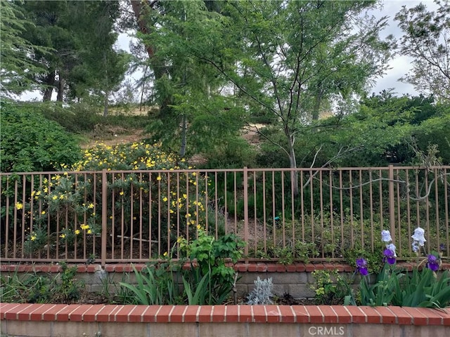 22000 Jodi Pl, Saugus, CA 91350 - view of yard